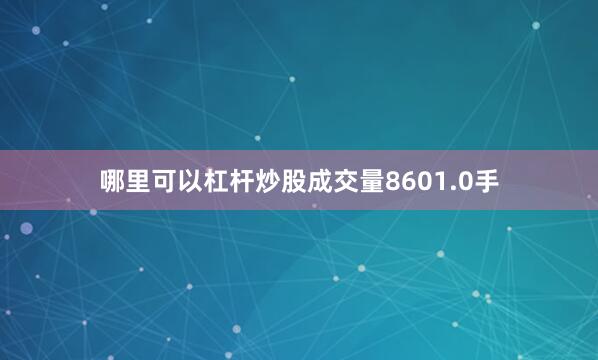 哪里可以杠杆炒股成交量8601.0手