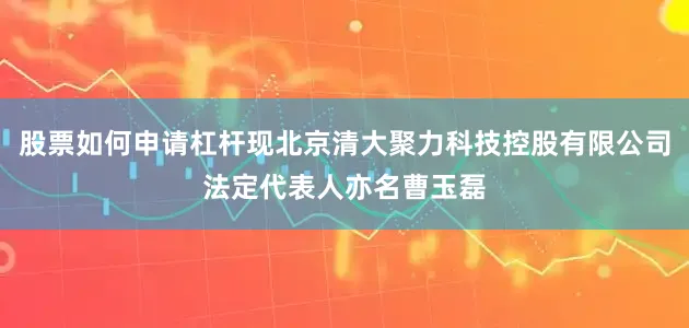 股票如何申请杠杆现北京清大聚力科技控股有限公司法定代表人亦名曹玉磊
