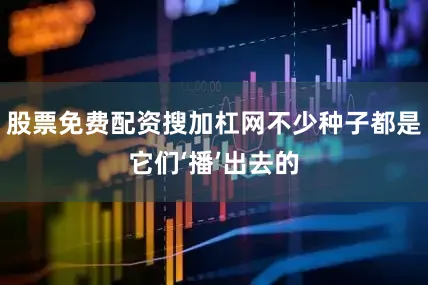 股票免费配资搜加杠网不少种子都是它们‘播’出去的